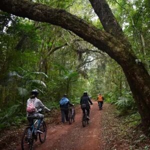 Passeio de Bicicletas em Ouro Preto - Vila Gale